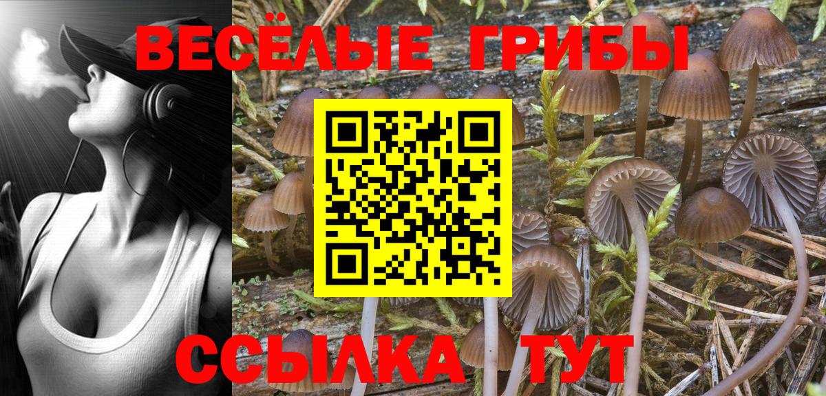 Псилоцибиновые грибы Magic Shrooms Рославль